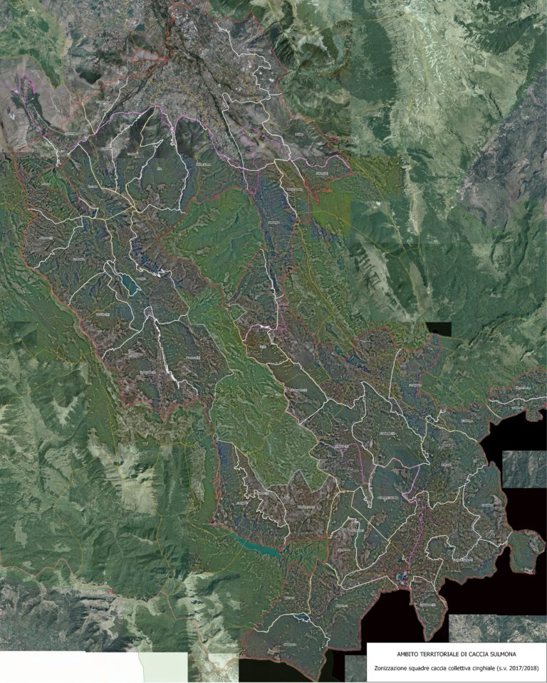 CARTOGRAFIA DELLE ZONE DI CACCIA AL CINGHIALE SU FOTO AEREA A.T.C